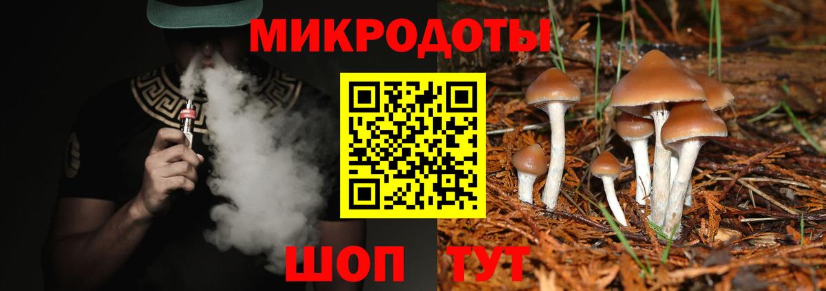 Псилоцибиновые грибы Psilocybine cubensis Минеральные Воды